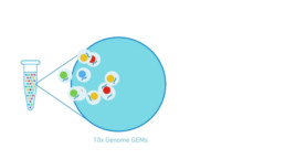 10xgenomics-poster