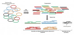 Fig1. Shotgun metagenomics